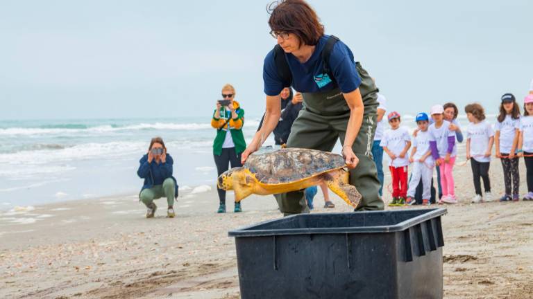 Riccione, Namastè torna in mare: liberata la tartaruga adottata dai vincitori di “Una voce per San Marino” VIDEO Riccione, Namastè torna in mare: liberata la tartaruga adottata dai vincitori di “Una voce per San Marino” VIDEO