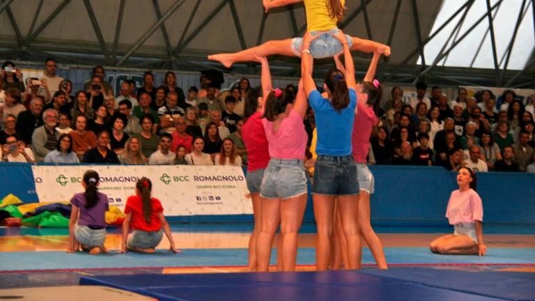 Ginnastica artistica, Centro Olimpia Cesena: 200 atleti al saggio finale - Gallery Ginnastica artistica, Centro Olimpia Cesena: 200 atleti al saggio finale - Gallery