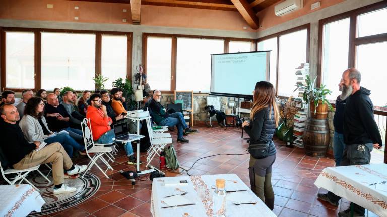 Vignaioli “sui banchi” per imparare a gestire il cambiamento climatico e prevenire il dissesto, dopo l’alluvione un corso nazionale della Fivi in Romagna Vignaioli “sui banchi” per imparare a gestire il cambiamento climatico e prevenire il dissesto, dopo l’alluvione un corso nazionale della Fivi in Romagna
