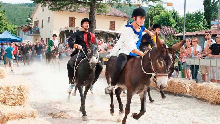 La corsa sul dorso dei somari La corsa sul dorso dei somari