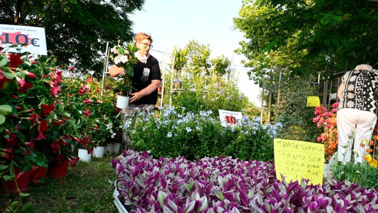 Imola, Fiera Agricola del Santerno: via alle domande di partecipazione Imola, Fiera Agricola del Santerno: via alle domande di partecipazione