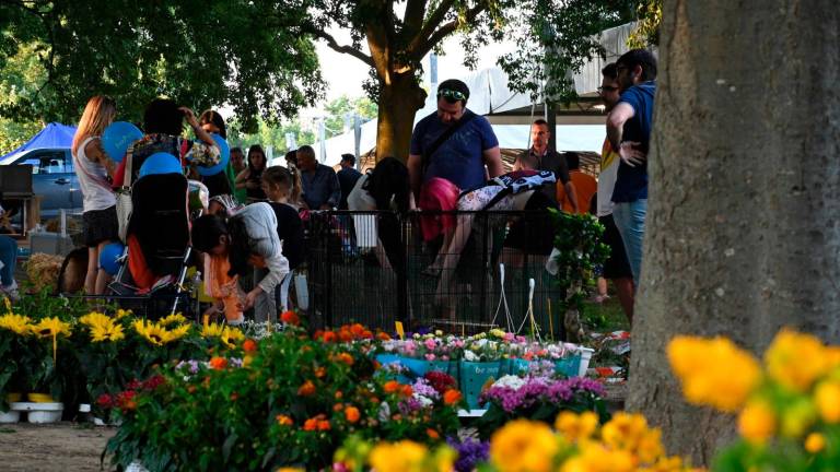 Imola, Fiera Agricola del Santerno: via alle domande di partecipazione Imola, Fiera Agricola del Santerno: via alle domande di partecipazione