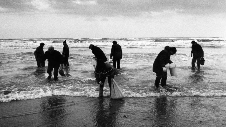 Luci, foto e parole sulla grande duna: ecco “L’altra stagione” di Rimini Luci, foto e parole sulla grande duna: ecco “L’altra stagione” di Rimini