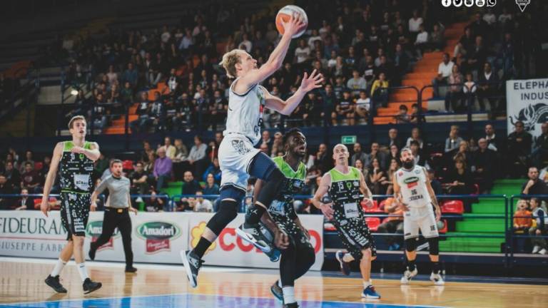Basket B, Battisti confermato nella cabina di regia dei Tigers Basket B, Battisti confermato nella cabina di regia dei Tigers