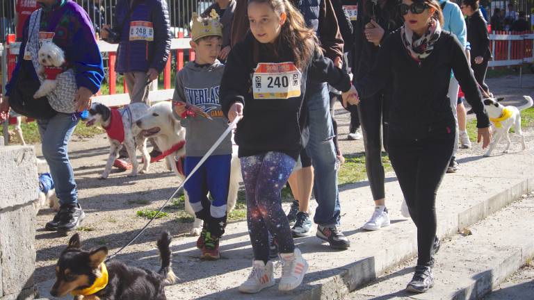 Maratona di Ravenna verso 18mila iscritti. In gara anche bimbi e cani Maratona di Ravenna verso 18mila iscritti. In gara anche bimbi e cani