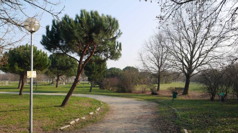 Cesenatico, 50 al parco per un pic-nic in barba al Covid: multati Cesenatico, 50 al parco per un pic-nic in barba al Covid: multati