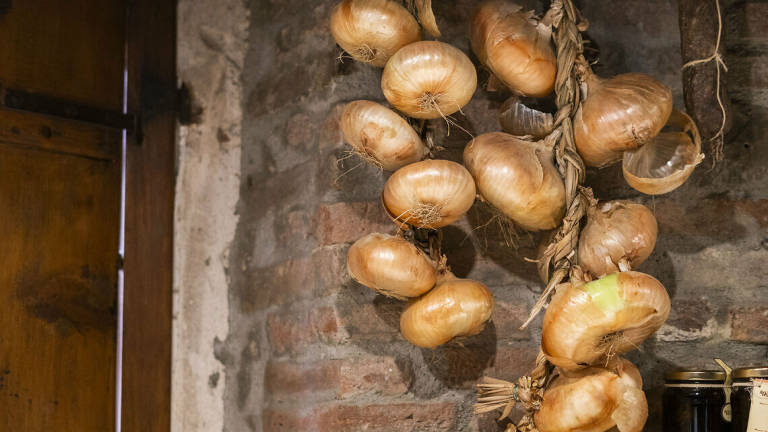 La cipolla dell'acqua che piace agli chef La cipolla dell'acqua che piace agli chef