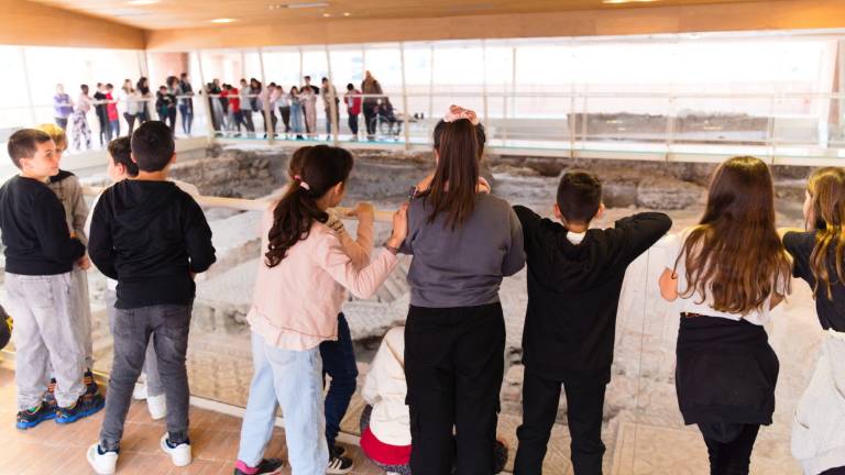 Rimini, riecco gli studenti e i turisti ai musei cittadini - Gallery Rimini, riecco gli studenti e i turisti ai musei cittadini - Gallery