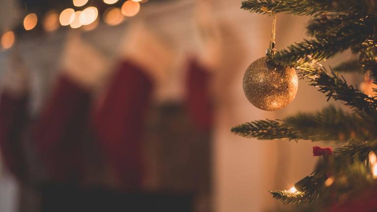 Forlì, per Natale torna la sosta gratuita Forlì, per Natale torna la sosta gratuita