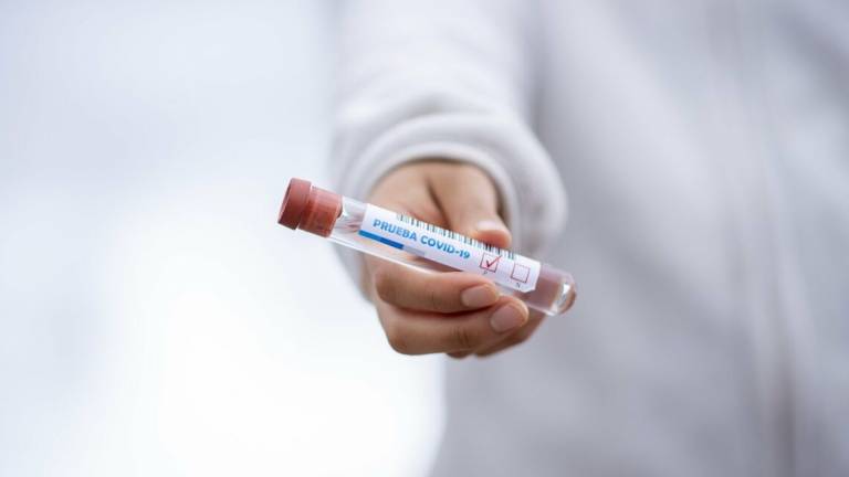 Coronavirus, 2 classi in quarantena e un prof positivo nel cesenate Coronavirus, 2 classi in quarantena e un prof positivo nel cesenate