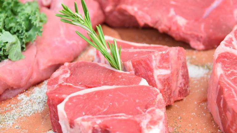 Sant'Agata sul Santerno: chiude Di cotte e di crude. Il Comune cerca nuovi affittuari per la macelleria Sant'Agata sul Santerno: chiude Di cotte e di crude. Il Comune cerca nuovi affittuari per la macelleria