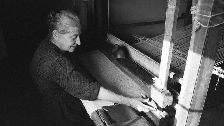 Bellosi: salviamo il Fondo Zaffagnini, c'è la storia della Romagna Bellosi: salviamo il Fondo Zaffagnini, c'è la storia della Romagna