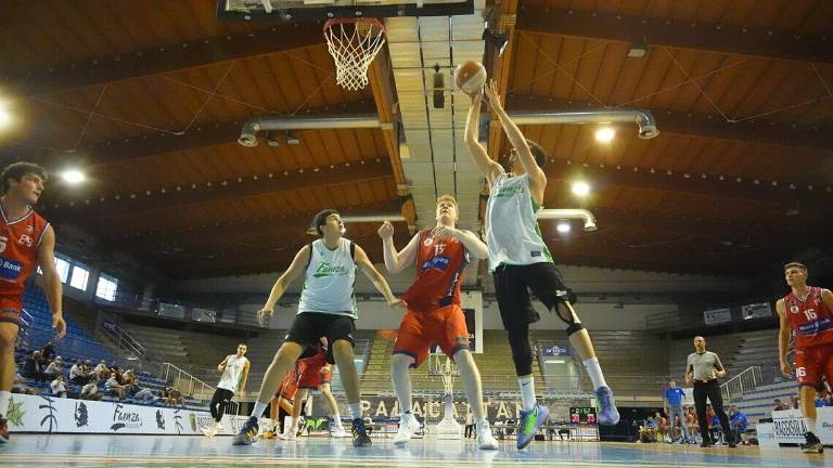 Basket, giovedì i Raggisolaris alle Maioliche per Sport al centro Basket, giovedì i Raggisolaris alle Maioliche per Sport al centro