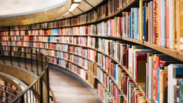 Imola, servizio civile: 3 posti disponibili in biblioteca Imola, servizio civile: 3 posti disponibili in biblioteca