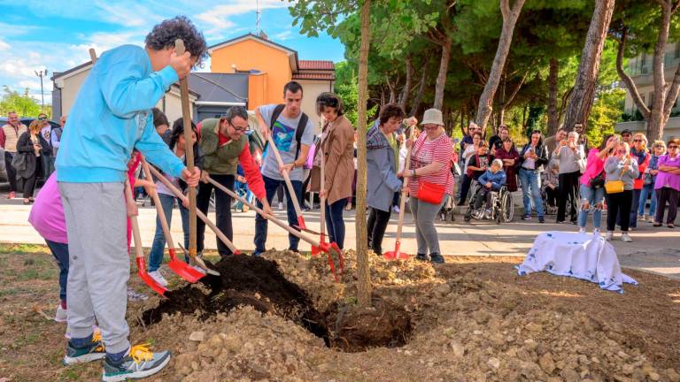 Tragedia del Centro 21 di Riccione. Massimo, Romina, Maria, Valentina, Francesca, Rossella e Alfredo per sempre: piantati gli alberi in loro ricordo Tragedia del Centro 21 di Riccione. Massimo, Romina, Maria, Valentina, Francesca, Rossella e Alfredo per sempre: piantati gli alberi in loro ricordo