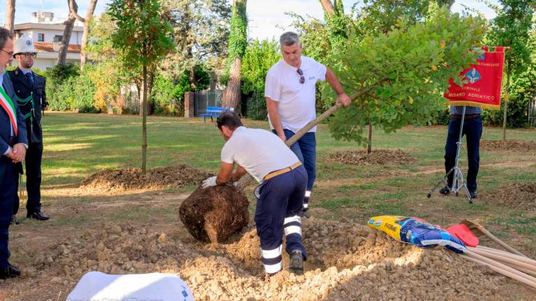 Tragedia del Centro 21 di Riccione. Massimo, Romina, Maria, Valentina, Francesca, Rossella e Alfredo per sempre: piantati gli alberi in loro ricordo Tragedia del Centro 21 di Riccione. Massimo, Romina, Maria, Valentina, Francesca, Rossella e Alfredo per sempre: piantati gli alberi in loro ricordo