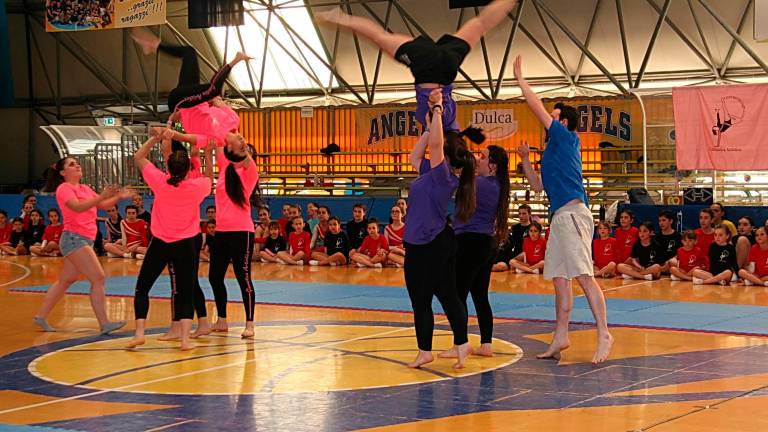 Ginnastica artistica, Centro Olimpia Cesena: 200 atleti al saggio finale - Gallery Ginnastica artistica, Centro Olimpia Cesena: 200 atleti al saggio finale - Gallery
