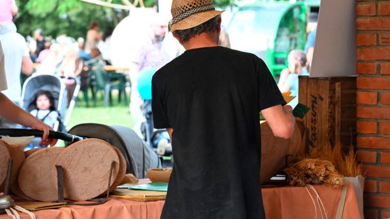 Imola, Fiera Agricola del Santerno: via alle domande di partecipazione Imola, Fiera Agricola del Santerno: via alle domande di partecipazione