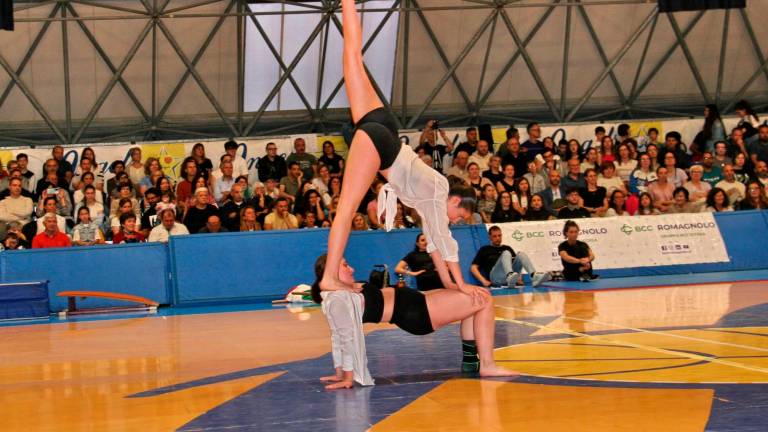 Ginnastica artistica: la festa del Centro Olimpia a Santarcangelo - Gallery Ginnastica artistica: la festa del Centro Olimpia a Santarcangelo - Gallery