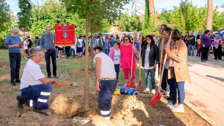 Tragedia del Centro 21 di Riccione. Massimo, Romina, Maria, Valentina, Francesca, Rossella e Alfredo per sempre: piantati gli alberi in loro ricordo Tragedia del Centro 21 di Riccione. Massimo, Romina, Maria, Valentina, Francesca, Rossella e Alfredo per sempre: piantati gli alberi in loro ricordo