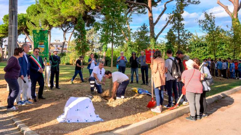 Tragedia del Centro 21 di Riccione. Massimo, Romina, Maria, Valentina, Francesca, Rossella e Alfredo per sempre: piantati gli alberi in loro ricordo Tragedia del Centro 21 di Riccione. Massimo, Romina, Maria, Valentina, Francesca, Rossella e Alfredo per sempre: piantati gli alberi in loro ricordo