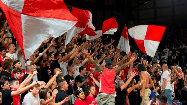 Basket A2, Ferrari: “Rimini, ora speriamo di non perdere Johnson” - Gallery Basket A2, Ferrari: “Rimini, ora speriamo di non perdere Johnson” - Gallery