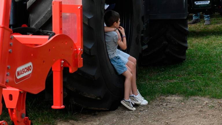 Imola, Fiera Agricola del Santerno: via alle domande di partecipazione Imola, Fiera Agricola del Santerno: via alle domande di partecipazione