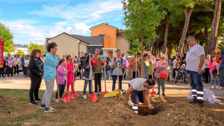 Tragedia del Centro 21 di Riccione. Massimo, Romina, Maria, Valentina, Francesca, Rossella e Alfredo per sempre: piantati gli alberi in loro ricordo Tragedia del Centro 21 di Riccione. Massimo, Romina, Maria, Valentina, Francesca, Rossella e Alfredo per sempre: piantati gli alberi in loro ricordo