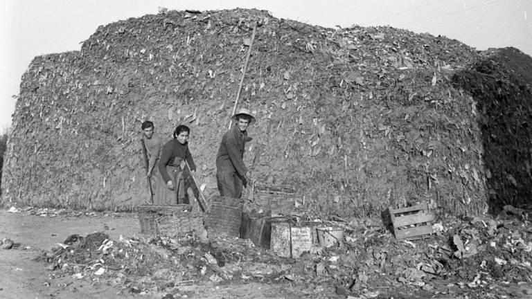 Il paesaggio rurale romagnolo visto attraverso gli archivi Guerra, Nonni e Visani Il paesaggio rurale romagnolo visto attraverso gli archivi Guerra, Nonni e Visani