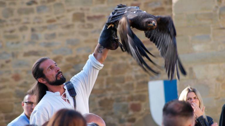 L’arte della falconeria: la storia di Freddy Bazzocchi L’arte della falconeria: la storia di Freddy Bazzocchi