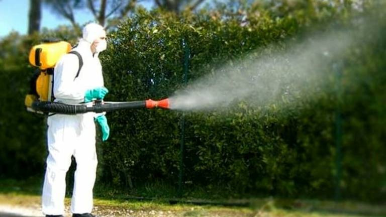 Faenza, zanzare: i trattamenti larvicidi non hanno efficacia nelle zone alluvionate Faenza, zanzare: i trattamenti larvicidi non hanno efficacia nelle zone alluvionate