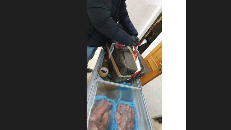 La Guardia Costiera sequestra 750 chili di pesce non a norma da Goro a Cattolica: multe per 52mila euro La Guardia Costiera sequestra 750 chili di pesce non a norma da Goro a Cattolica: multe per 52mila euro
