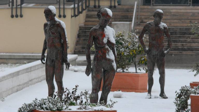 Forlì, statue rubate all’ospedale: i ladri di rame di nuovo in azione Forlì, statue rubate all’ospedale: i ladri di rame di nuovo in azione