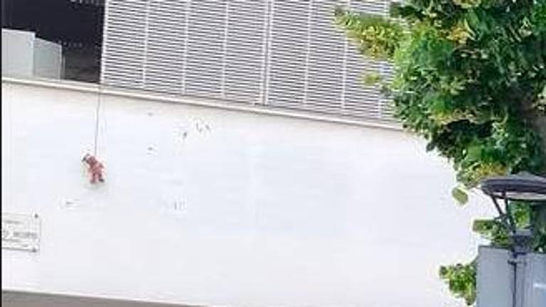 Il peluche appeso a una finestra del liceo “Righi” Il peluche appeso a una finestra del liceo “Righi”