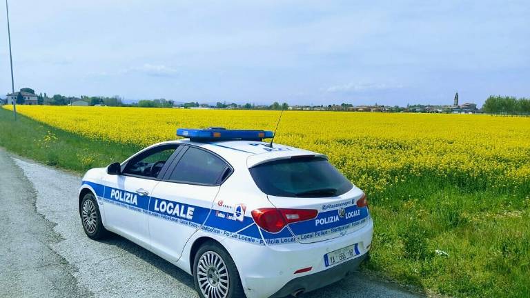 Fusignano, un cittadino aiuta la Polizia a trovare il pirata della strada Fusignano, un cittadino aiuta la Polizia a trovare il pirata della strada
