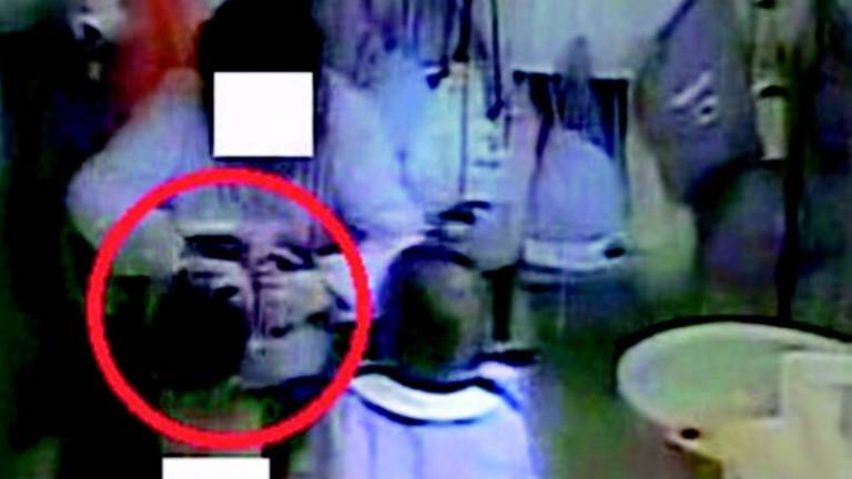 Schiaffi all'asilo nel Ravennate, la maestra in cura al Sert per la cocaina Schiaffi all'asilo nel Ravennate, la maestra in cura al Sert per la cocaina