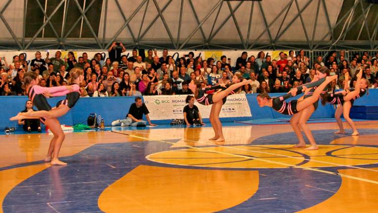 Ginnastica artistica: la festa del Centro Olimpia a Santarcangelo - Gallery Ginnastica artistica: la festa del Centro Olimpia a Santarcangelo - Gallery