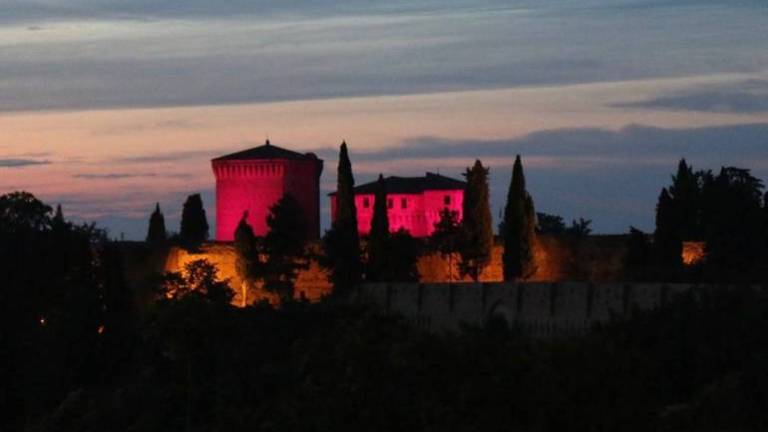 Cesena, musei gratis il 13 maggio: tutti i luoghi aperti al pubblico fino a tarda sera Cesena, musei gratis il 13 maggio: tutti i luoghi aperti al pubblico fino a tarda sera