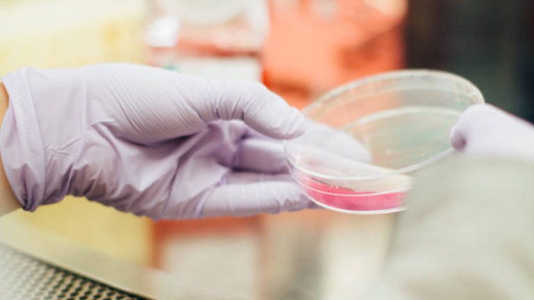 Truffa del tampone per il Coronavirus attenti ai falsi operatori sanitari Truffa del tampone per il Coronavirus attenti ai falsi operatori sanitari
