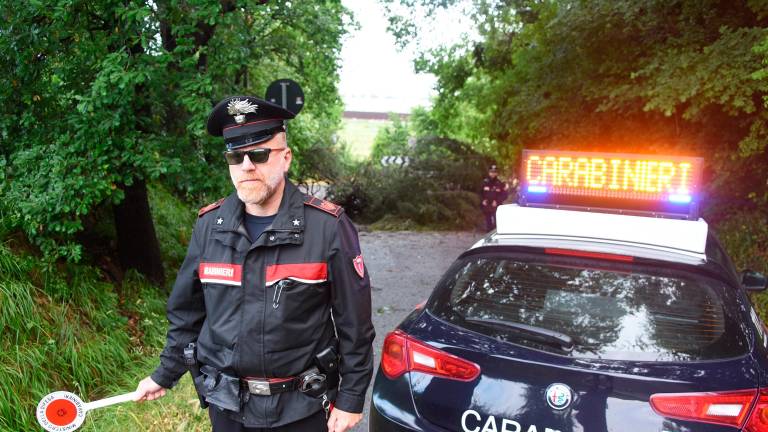 Forti raffiche di vento nella notte a Rimini, crolla un albero in via delle Grazie - Gallery Forti raffiche di vento nella notte a Rimini, crolla un albero in via delle Grazie - Gallery