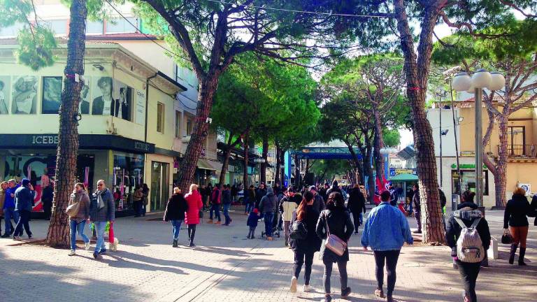 Riccione, 17enne ruba l'auto al papà dopo lite e semina caos in centro Riccione, 17enne ruba l'auto al papà dopo lite e semina caos in centro
