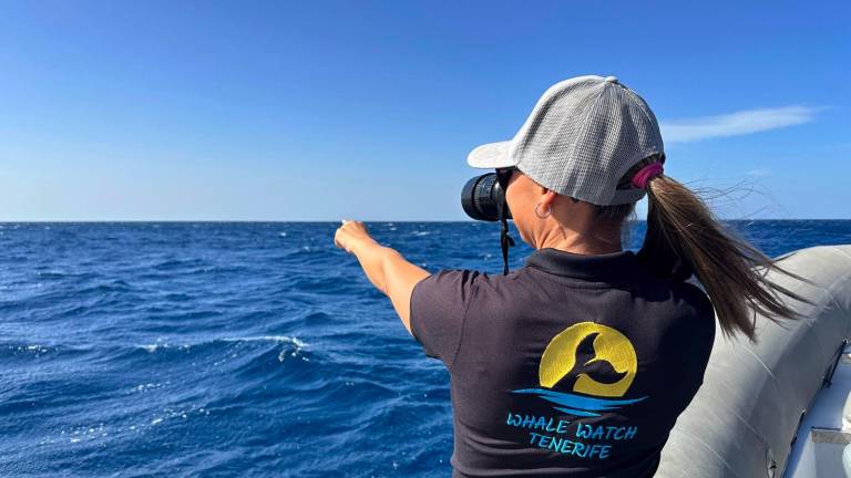 Da Rimini alle Canarie, la biologa nel paradiso dei cetacei. «Ogni anno con noi seimila persone» GALLERY