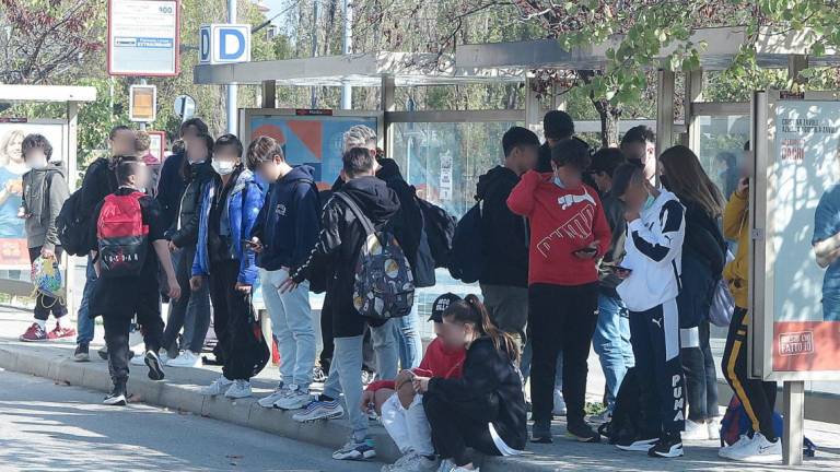 Green pass, emergenza a Rimini: Gli autisti per non lavorare usano la 104 Green pass, emergenza a Rimini: Gli autisti per non lavorare usano la 104