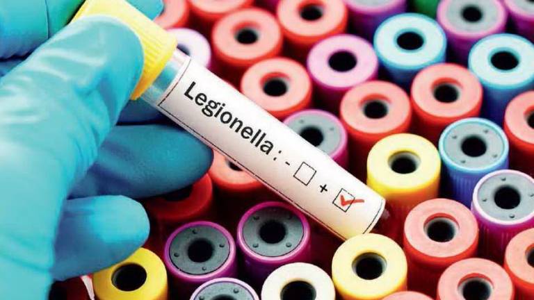 Turista prende la legionella in hotel, albergatore indagato a Rimini Turista prende la legionella in hotel, albergatore indagato a Rimini
