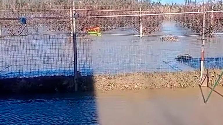 Brisighella, campi allagati dopo l’esondazione del Lamone VIDEO Brisighella, campi allagati dopo l’esondazione del Lamone VIDEO
