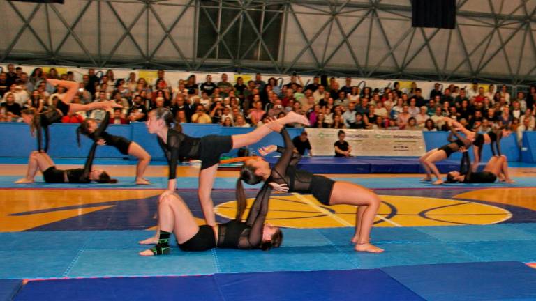 Ginnastica artistica: la festa del Centro Olimpia a Santarcangelo - Gallery Ginnastica artistica: la festa del Centro Olimpia a Santarcangelo - Gallery