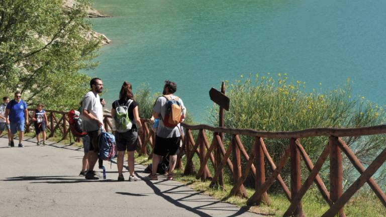 In arrivo 9 milioni di euro per il territorio delle Foreste Casentinesi: Un'opportunità unica In arrivo 9 milioni di euro per il territorio delle Foreste Casentinesi: Un'opportunità unica