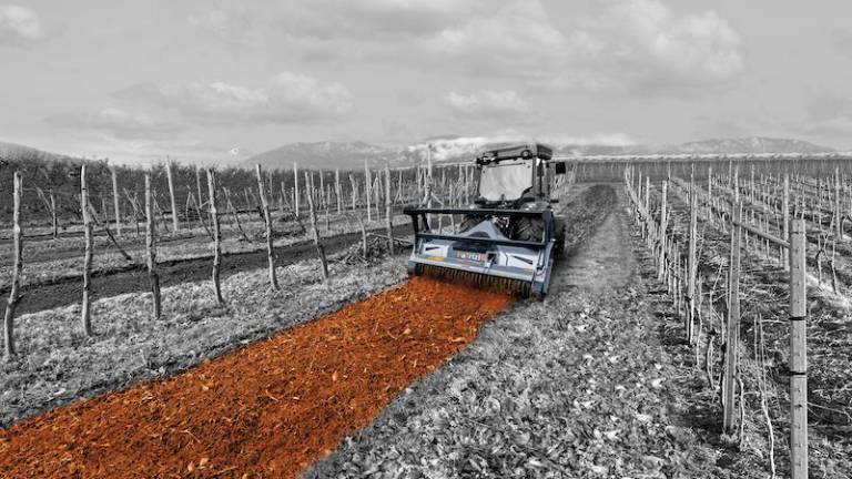 FAE, il punto di riferimento per quanti desiderano acquistare macchinari agricoli, forestali e stradali performanti e affidabili FAE, il punto di riferimento per quanti desiderano acquistare macchinari agricoli, forestali e stradali performanti e affidabili