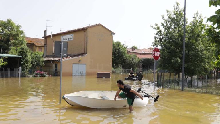 Alluvione. Aperto il bando per la distribuzione di elettrodomestici e deumidificatori portatili Alluvione. Aperto il bando per la distribuzione di elettrodomestici e deumidificatori portatili