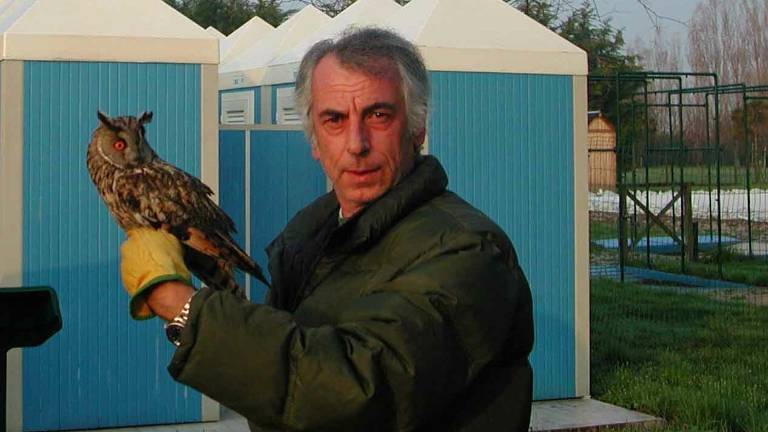 A Sala di Cesenatico e Savignano Mare corso di ornitologia A Sala di Cesenatico e Savignano Mare corso di ornitologia